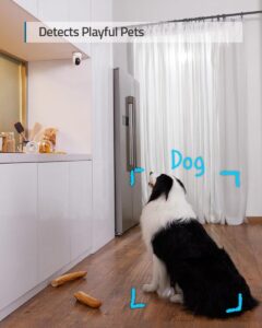 Eufy 2K Binnen Beveiligingscamera hond