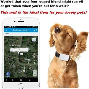 GPS Tracker TK911 hond